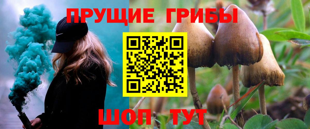 Лесосибирск  Галлюциногенные грибы GOLDEN TEACHER  Псилоцибиновые грибы Cubensis  Вход с VPN 
